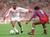 Soccer Fight